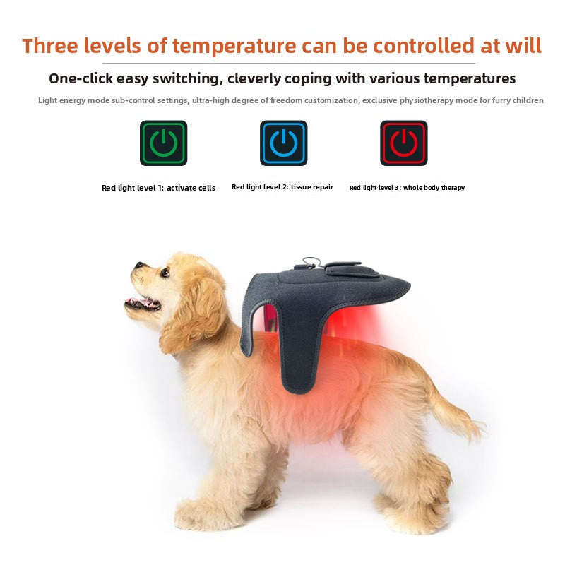 Red Light Therapy Waist Belt