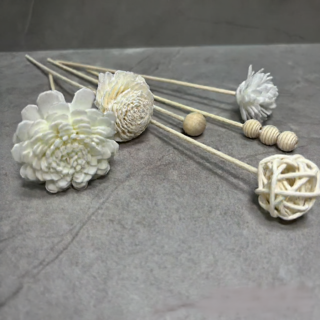 Reed Diffuser Sticks