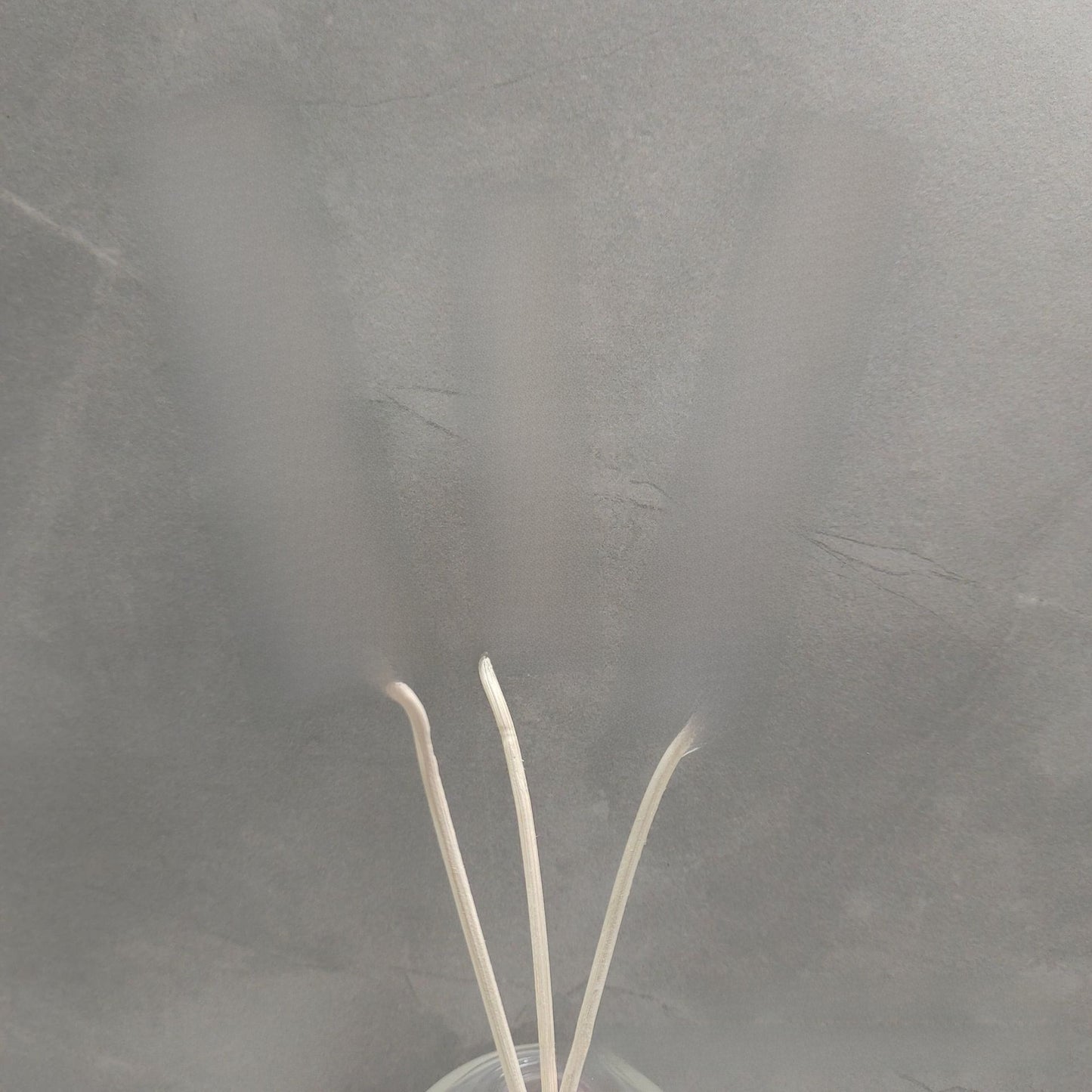 Reed Diffuser Sticks