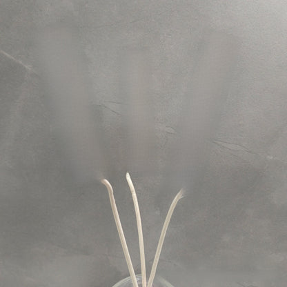 Reed Diffuser Sticks