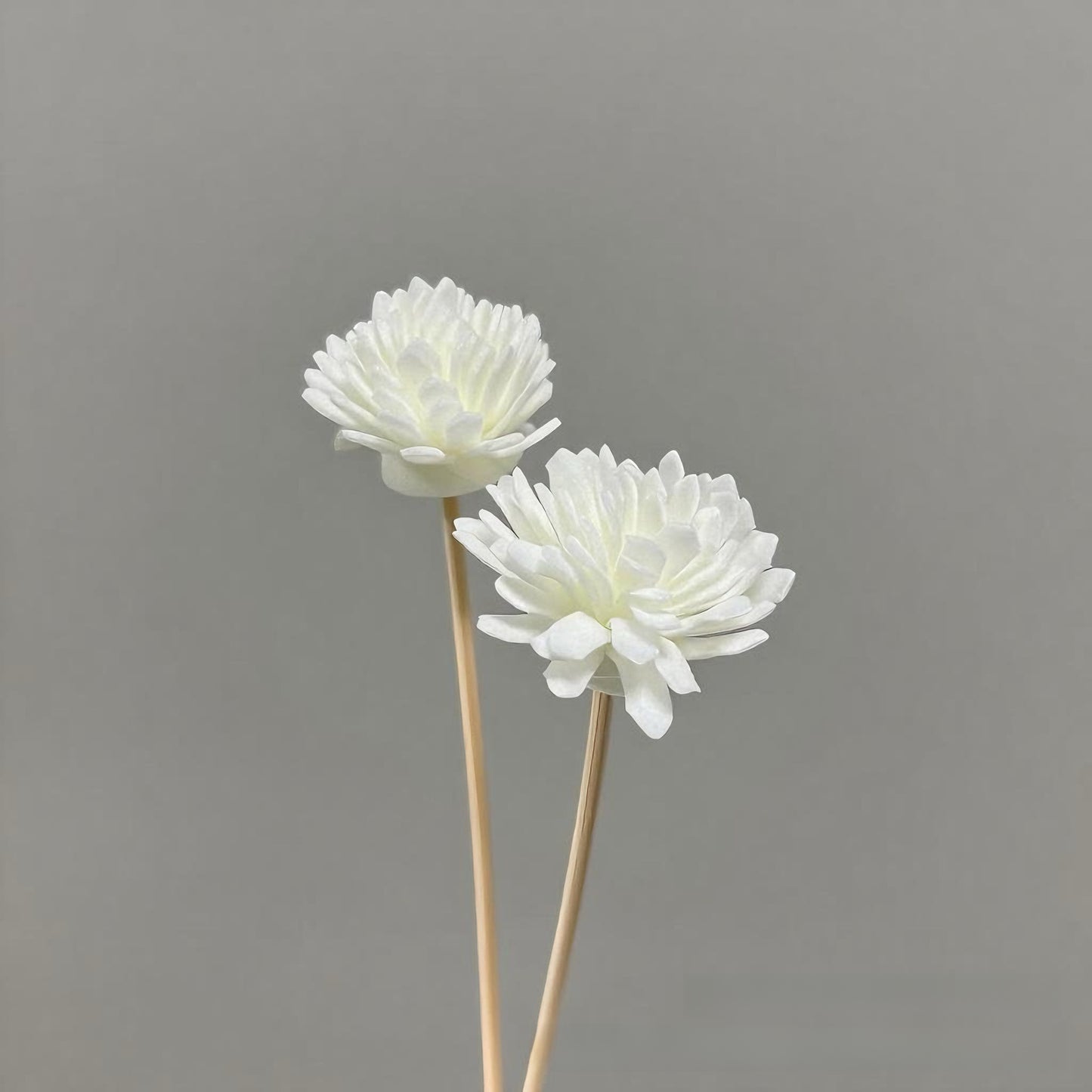 Reed Diffuser Sticks