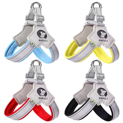 Reflective Dog Harness and Leash