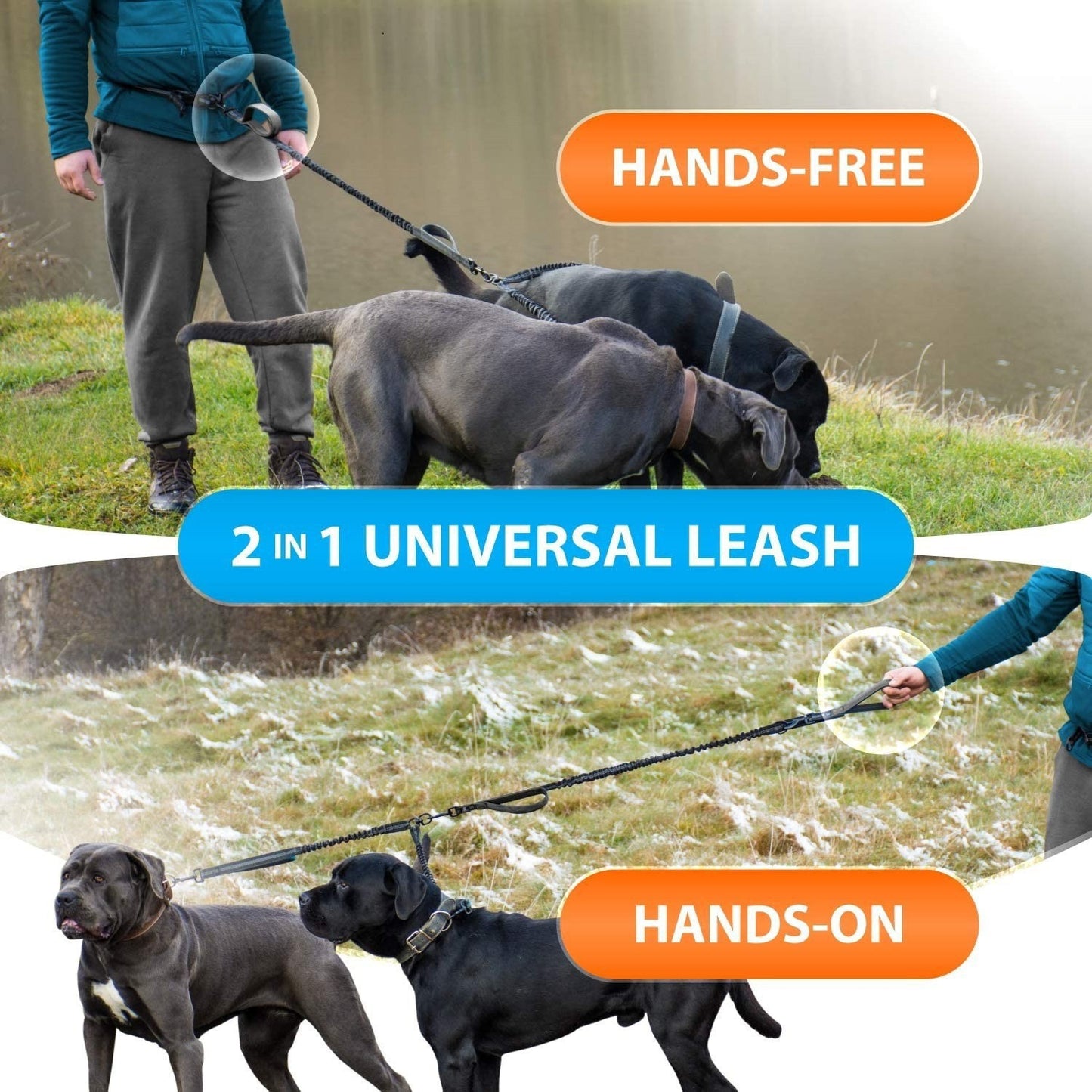 Reflective Dog Leash