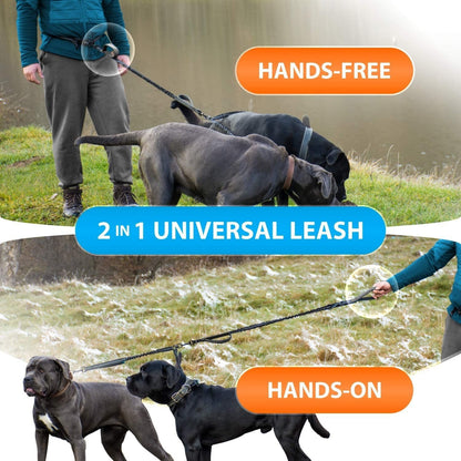 Reflective Dog Leash