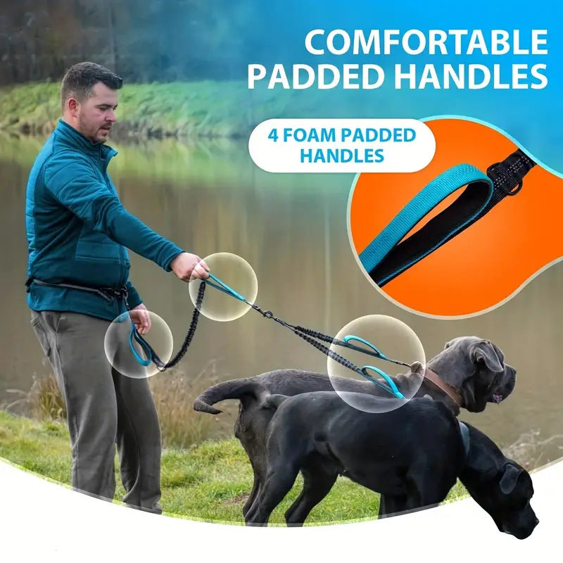 Reflective Dog Leash