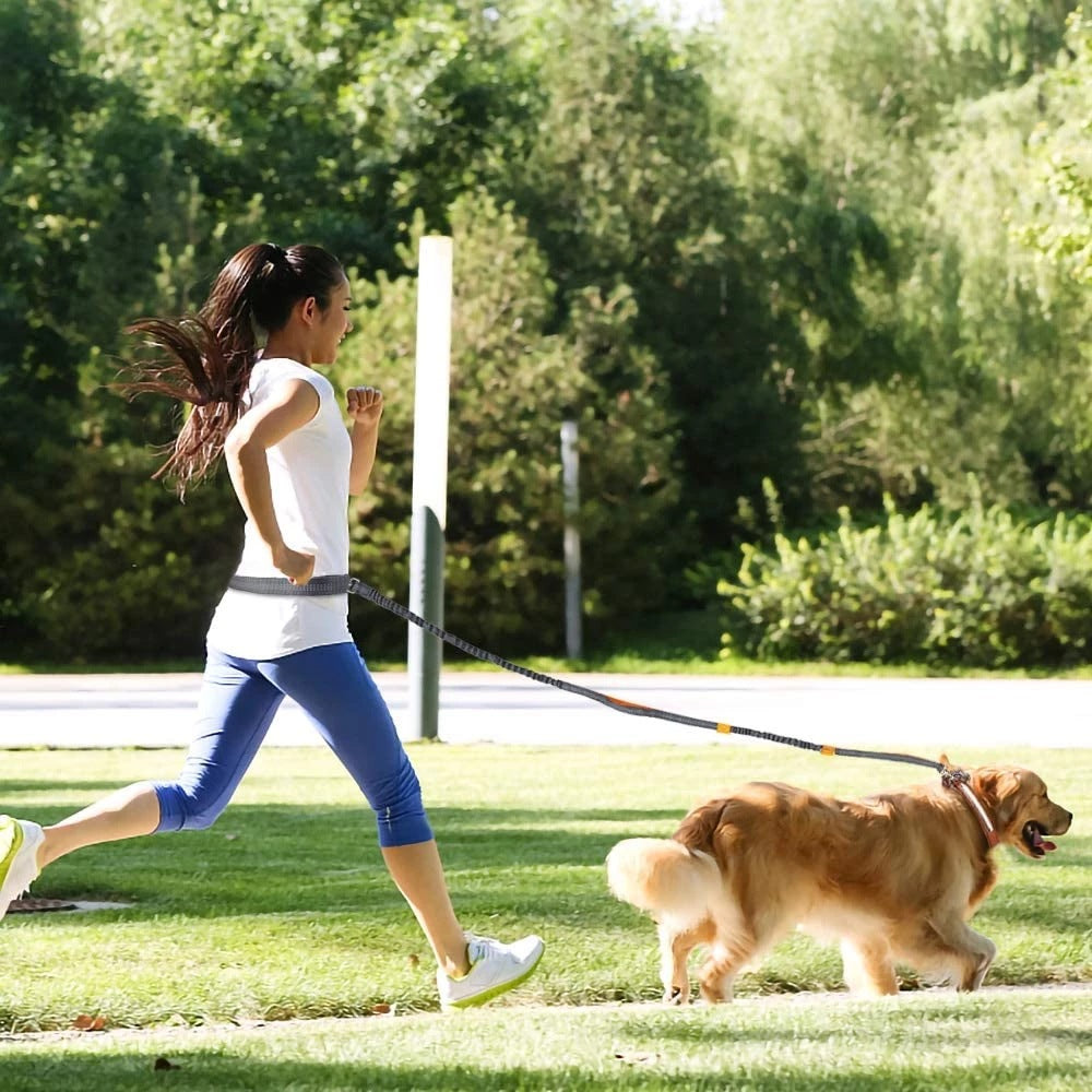 Reflective double-extendable dog leash