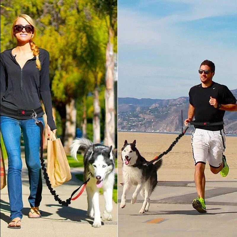 Reflective double-extendable dog leash