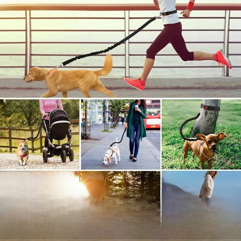 Reflective double-extendable dog leash