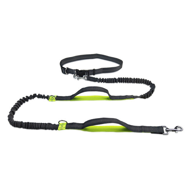 Reflective double-extendable dog leash