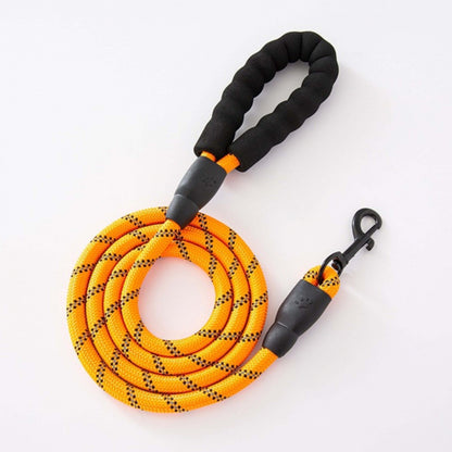 Reflective Nylon Dog Leash with Anti-Pull Design