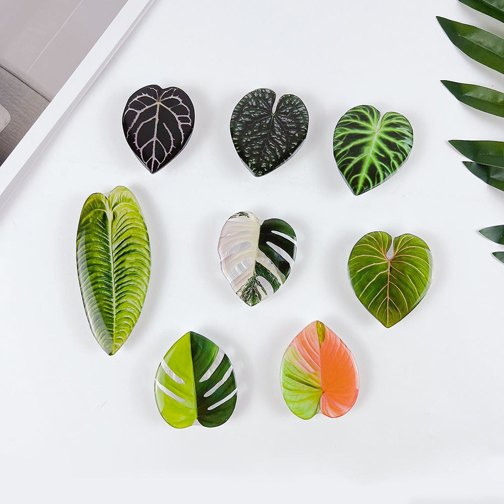 Refrigerator Magnets