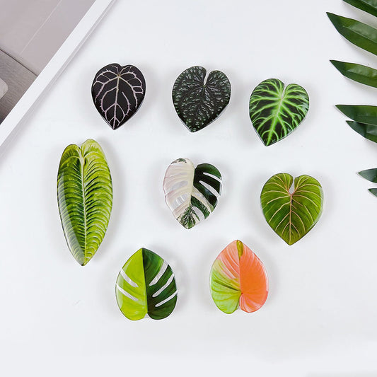 Refrigerator Magnets
