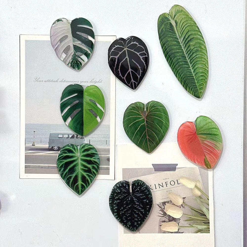 Refrigerator Magnets