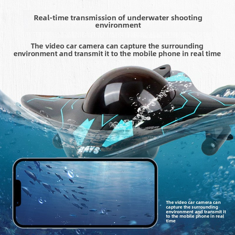 Remote Control Boat