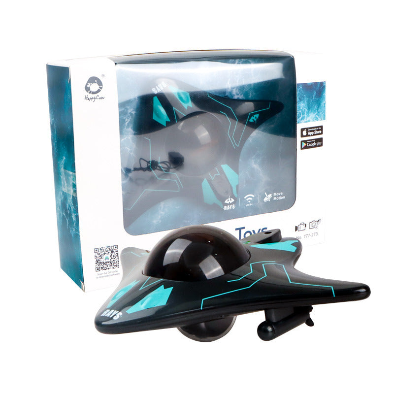Remote Control Boat