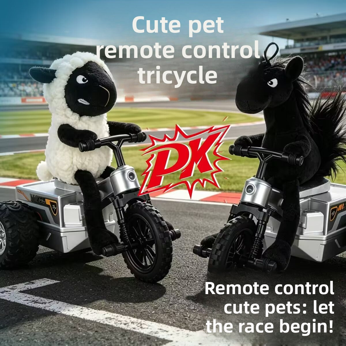 Remote Control Car