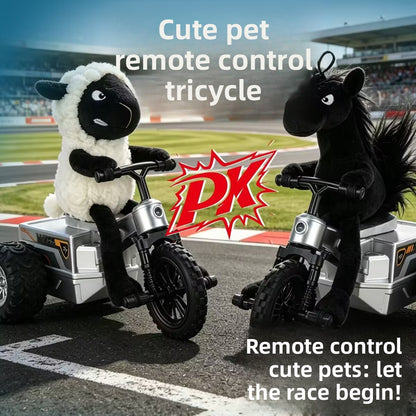 Remote Control Car
