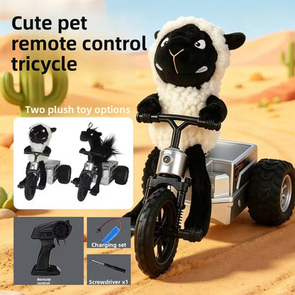Remote Control Car