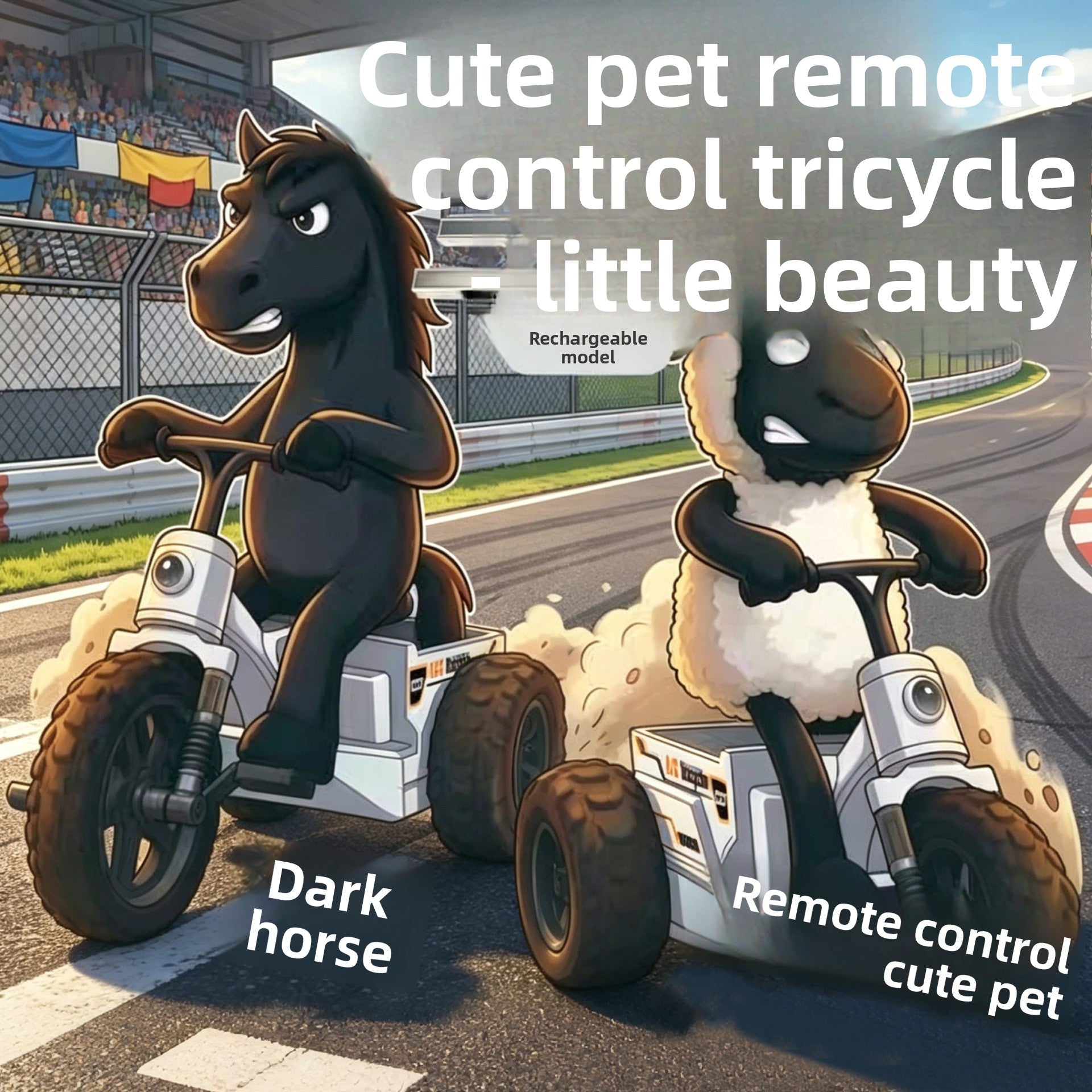 Remote Control Car