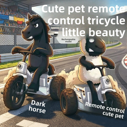 Remote Control Car