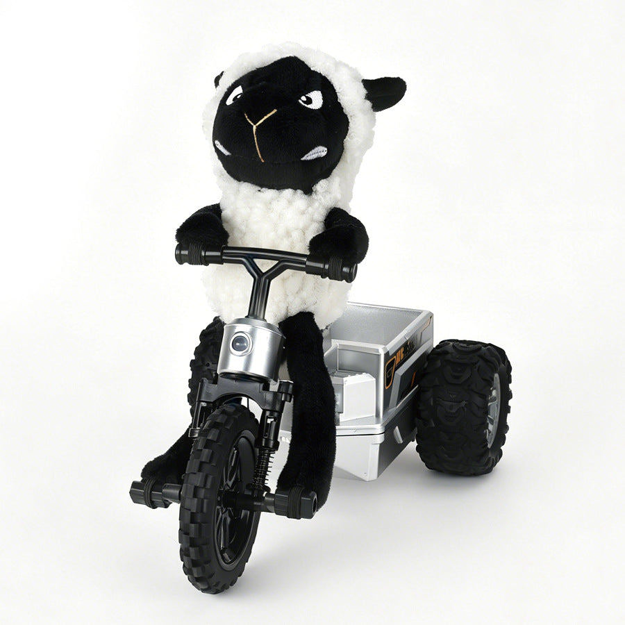 Remote Control Car