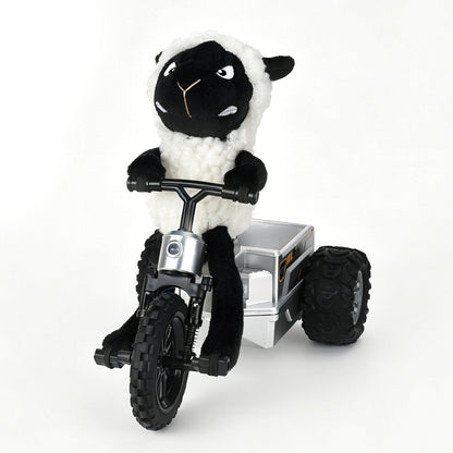 Remote Control Car