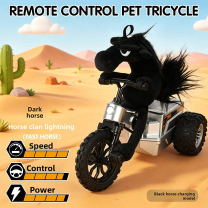 Remote Control Car