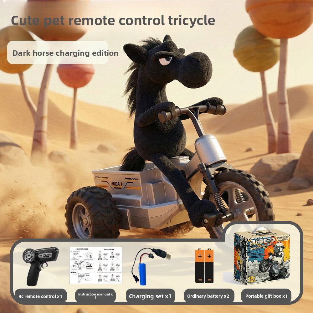 Remote Control Car
