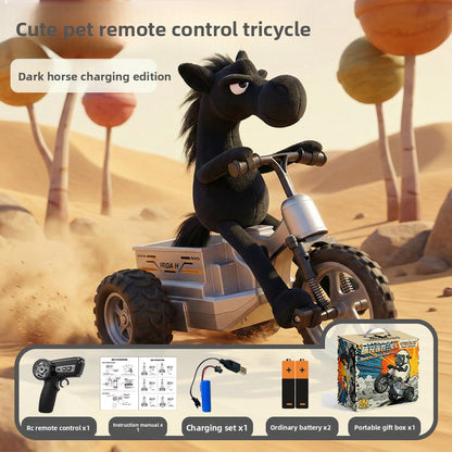 Remote Control Car