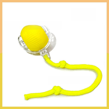 Remote Control Electric Cat Toy