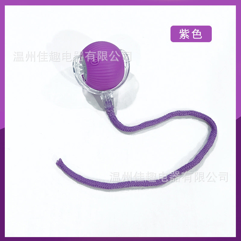 Remote Control Electric Cat Toy with Automatic Movement