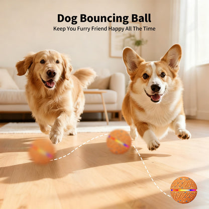 Remote Control Electric Pet Toy Ball