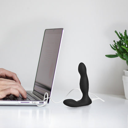 Remote Control Prostate Massager