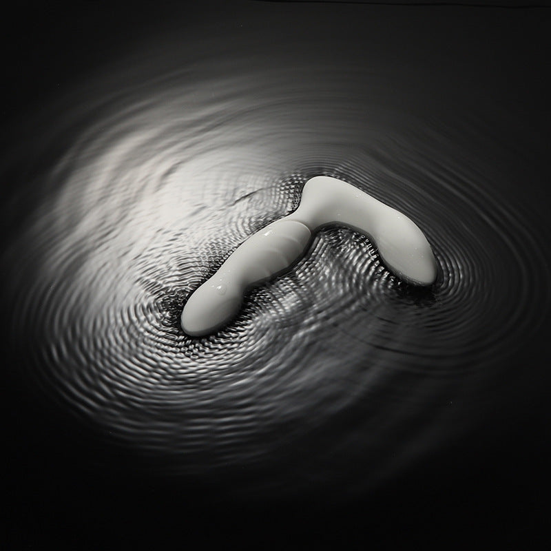 Remote Control Prostate Massager