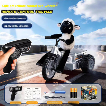 Remote Control Stunt Drift Tricycle