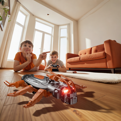 Remote control toy