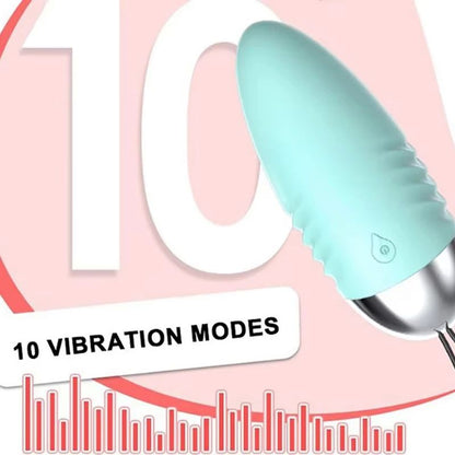 Remote Control Vibrator with Heating and Multi-Speed Modes
