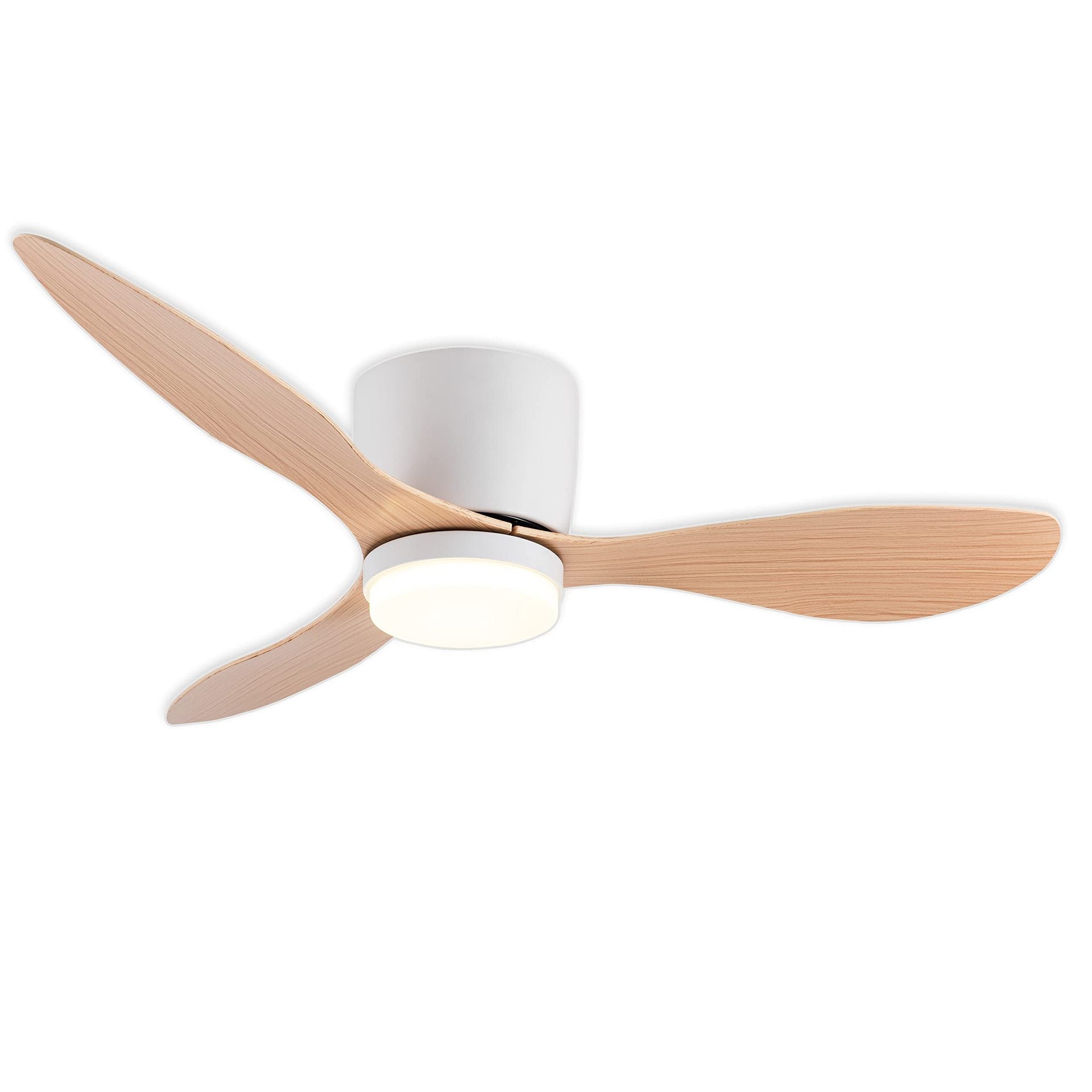 Remote Controlled LED Ceiling Fan with Light