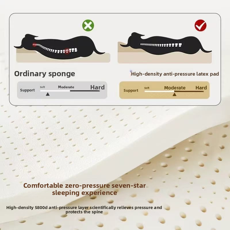 Removable Washable Pet Bed