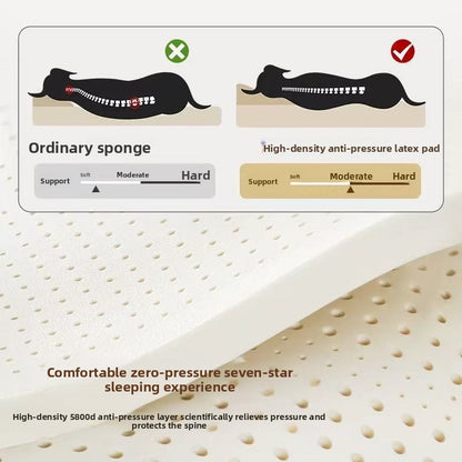 Removable Washable Pet Bed