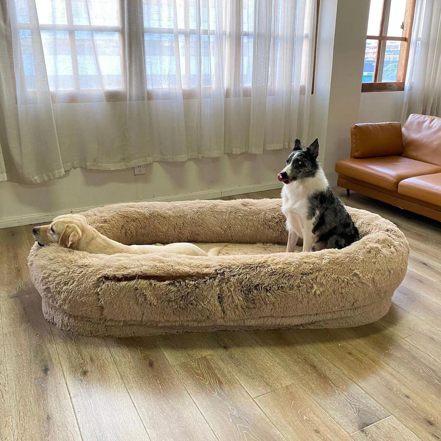 Removable Washable Plush Pet Bed with Pillow