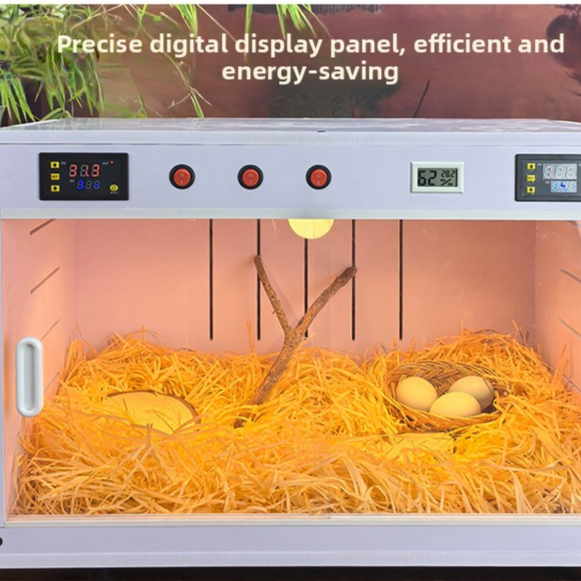 Reptile Incubator