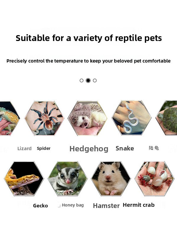 Reptile Incubator