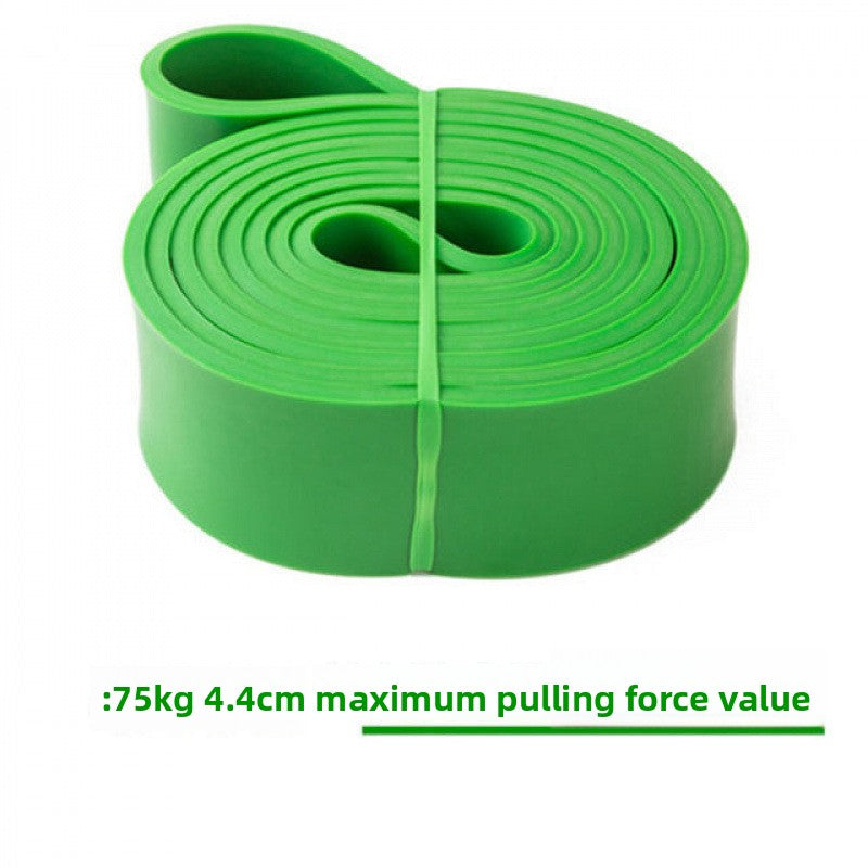 Resistance exercise band