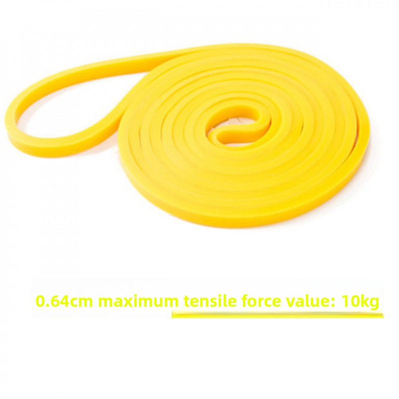 Resistance exercise band