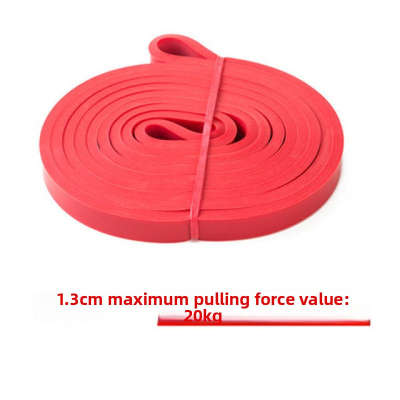 Resistance exercise band