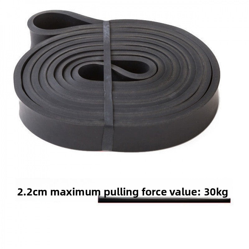 Resistance exercise band