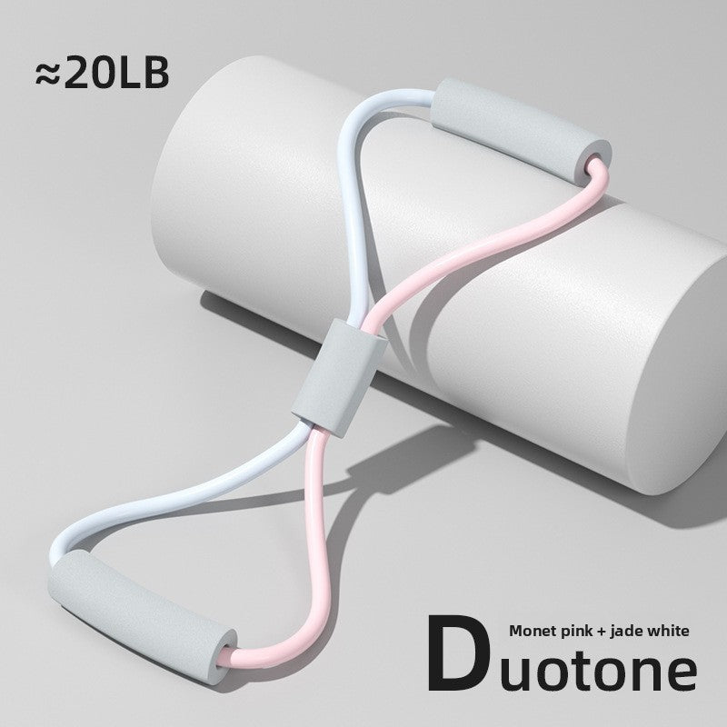 Resistance Exercise Equipment