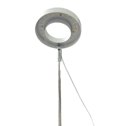 Retractable Plant Lamp