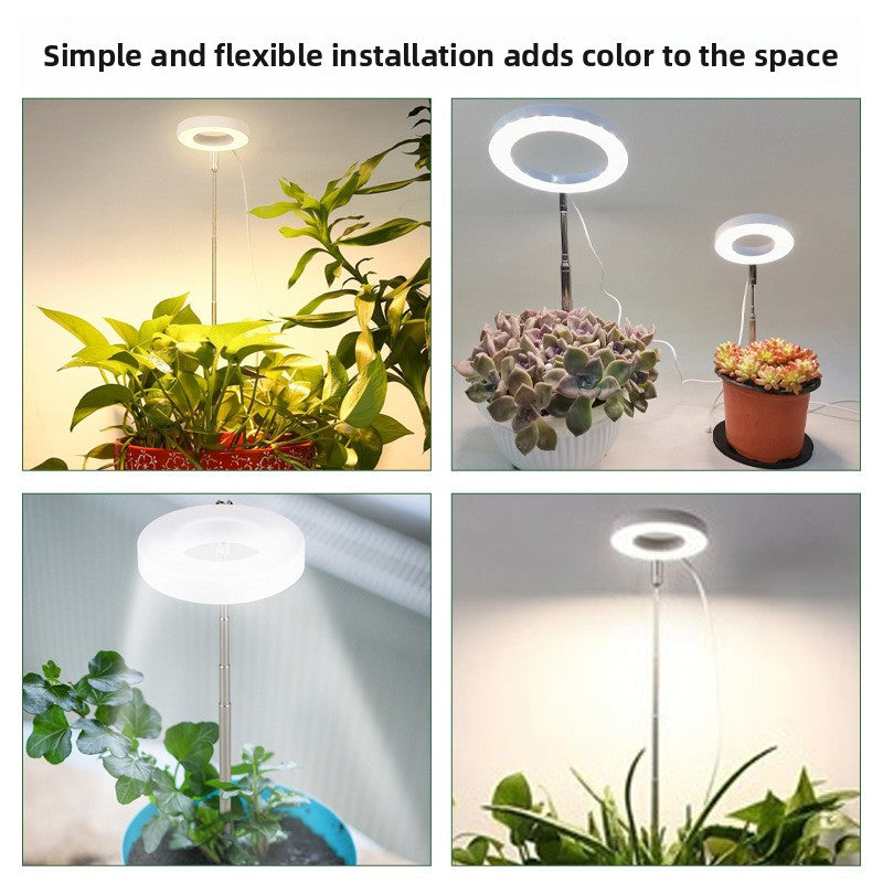Retractable Plant Lamp